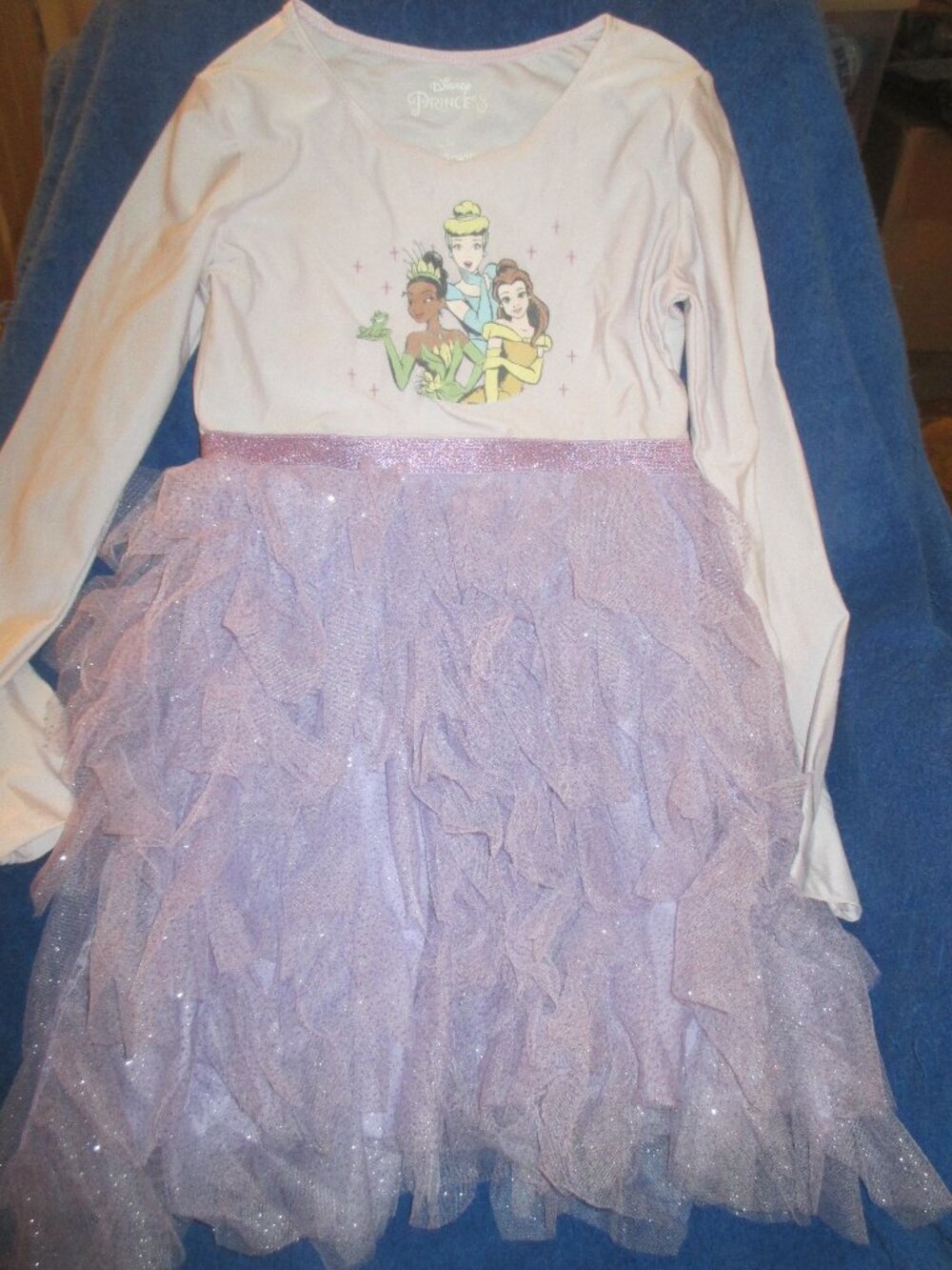 Disney Princess Tutu Dress 10-12 Girls Long Sleeve Tulle Purple